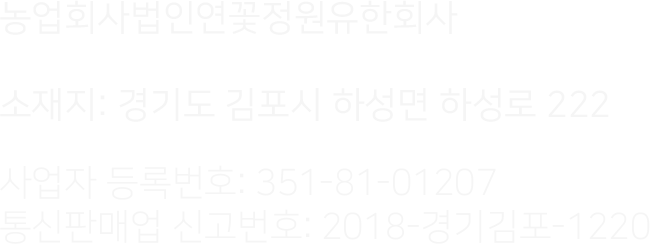 회사 정보