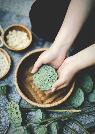 연자(연씨) 원물 사진