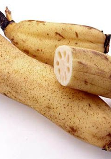 세척연근 원물 사진