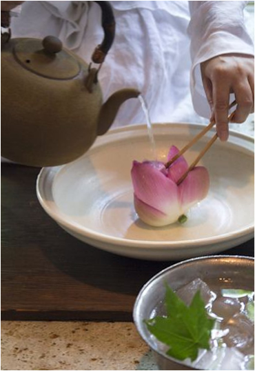 연꽃차(꽃차) 사진